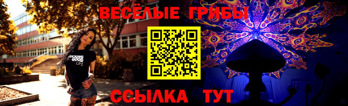 Новокубанск  Псилоцибиновые грибы Psilocybine cubensis  Галлюциногенные грибы MAGIC MUSHROOMS  Вход с VPN 