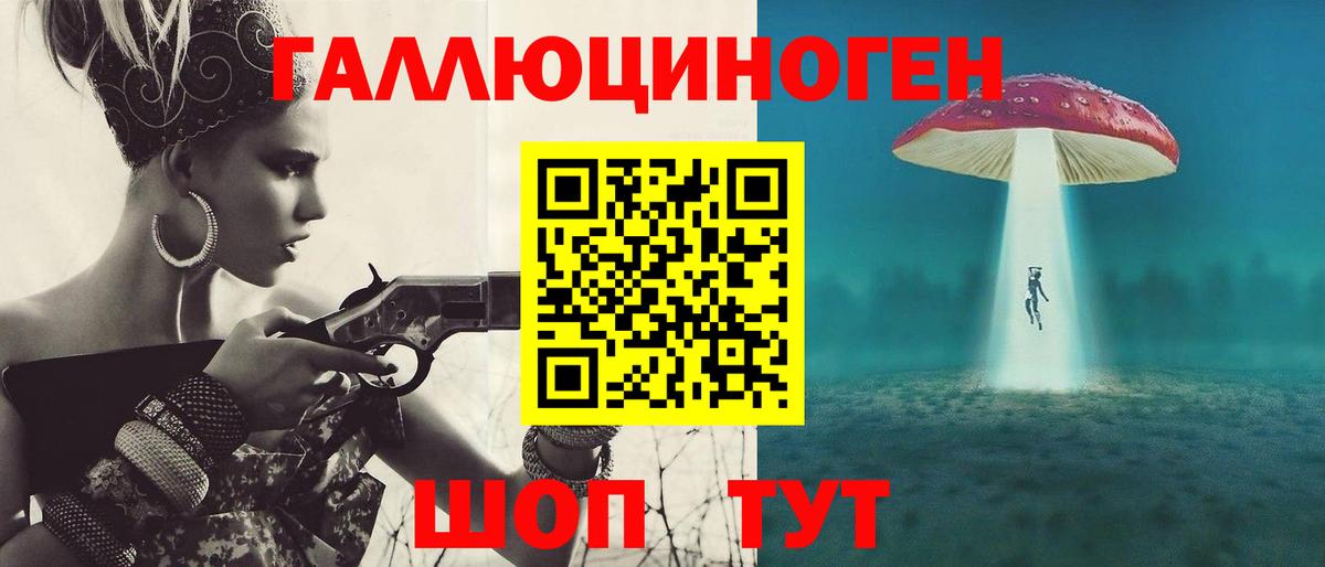 МЕФ Новокубанск